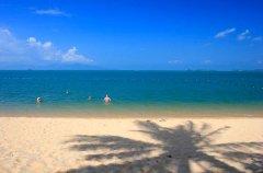 024-peace-resort-samui-facilities-beach.jpg